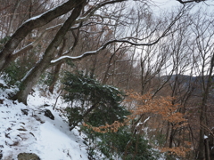 P2123468