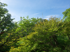 P7080065
