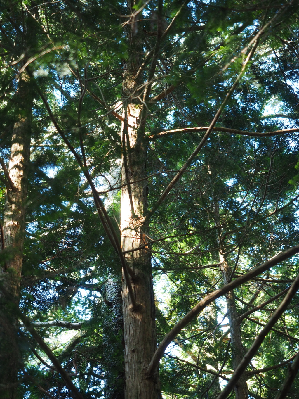 P7220205