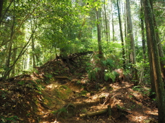 P4270021