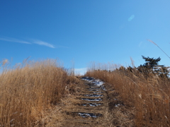 P2193849