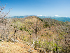 P4290288