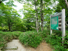 P7080209