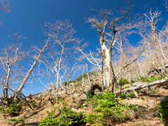 P4290127