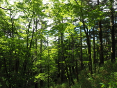 P7080223
