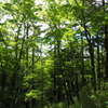 P7080223