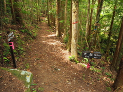 P5270100