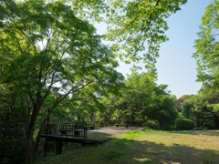 P5030054