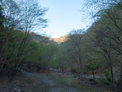 P4290003