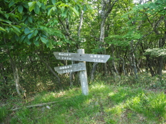 P6170035
