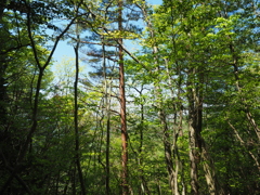 P4270056