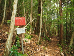 P5270099