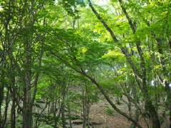P6170010