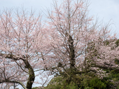 P3300028