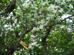 P6170032