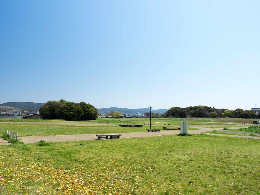 P4100002