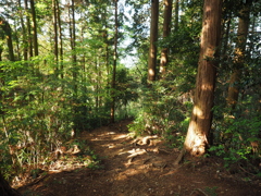 P4270271