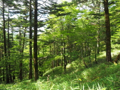 P7080233