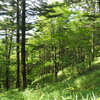 P7080233