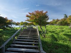 P7080074