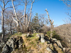 P4290062