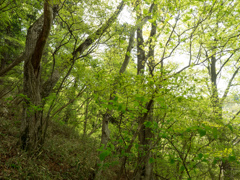 P4300061