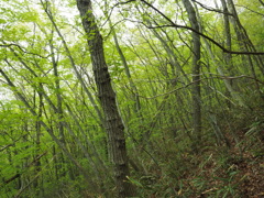 P4300020