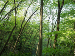 P4270255