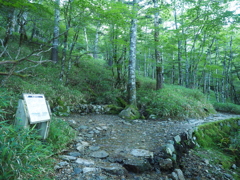 P7080026