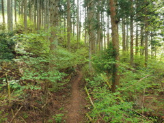 P4300028