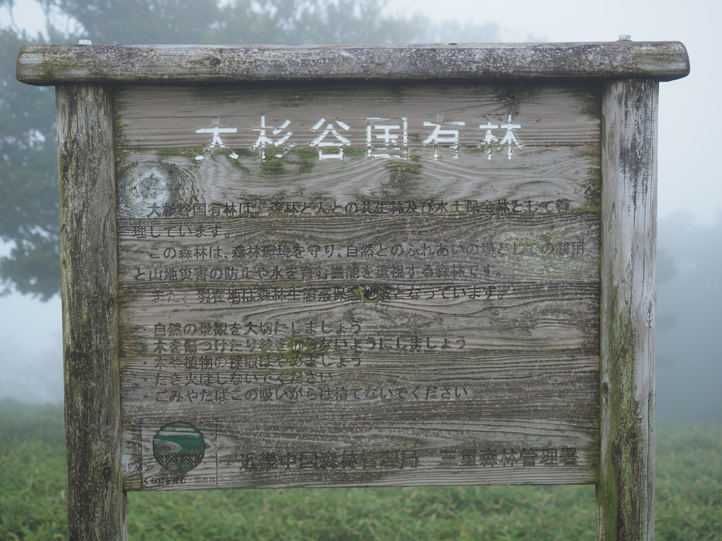 P9250056