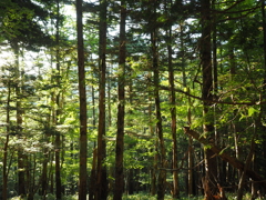 P7080019