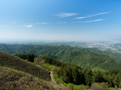 P4270162