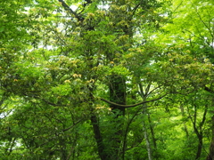 P5190101