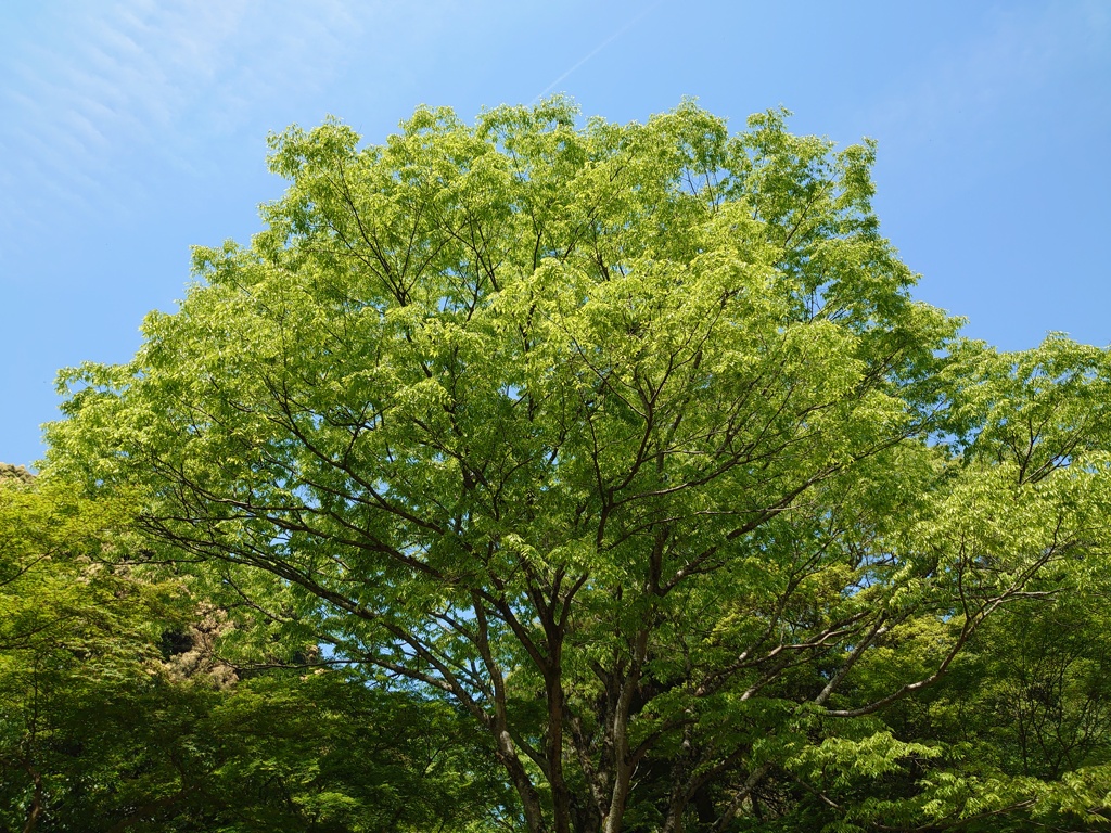 PDSC_4304