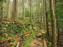 P5270053