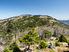 P4290203