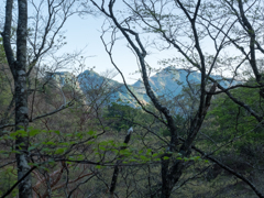P4290028