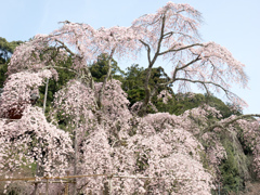 P3300066