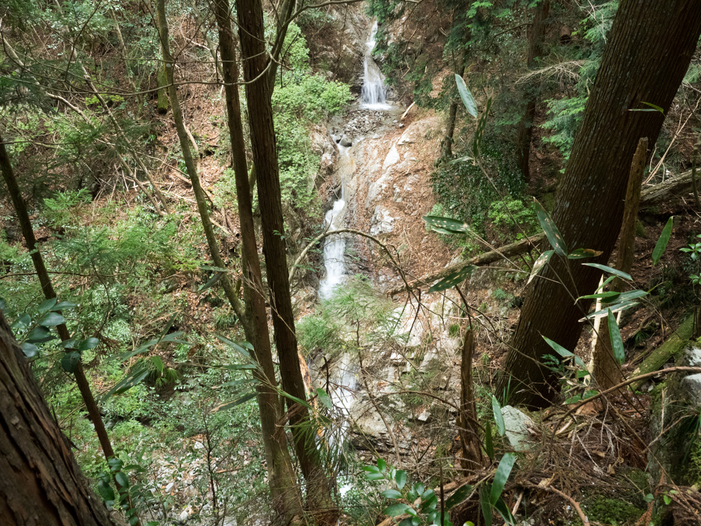 P1042648