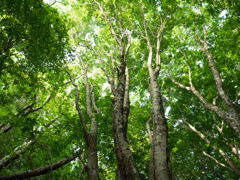 P6170007