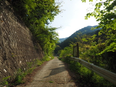 P4300003