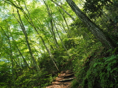 P4270079