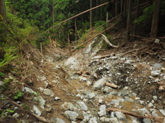 P4300145