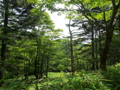 P7080227