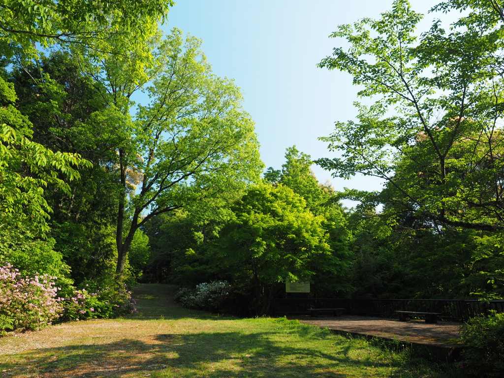 P5030045