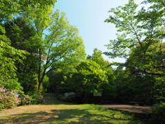 P5030045