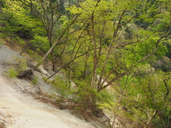 P4300038