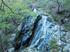 P4290026