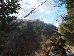 P2123691